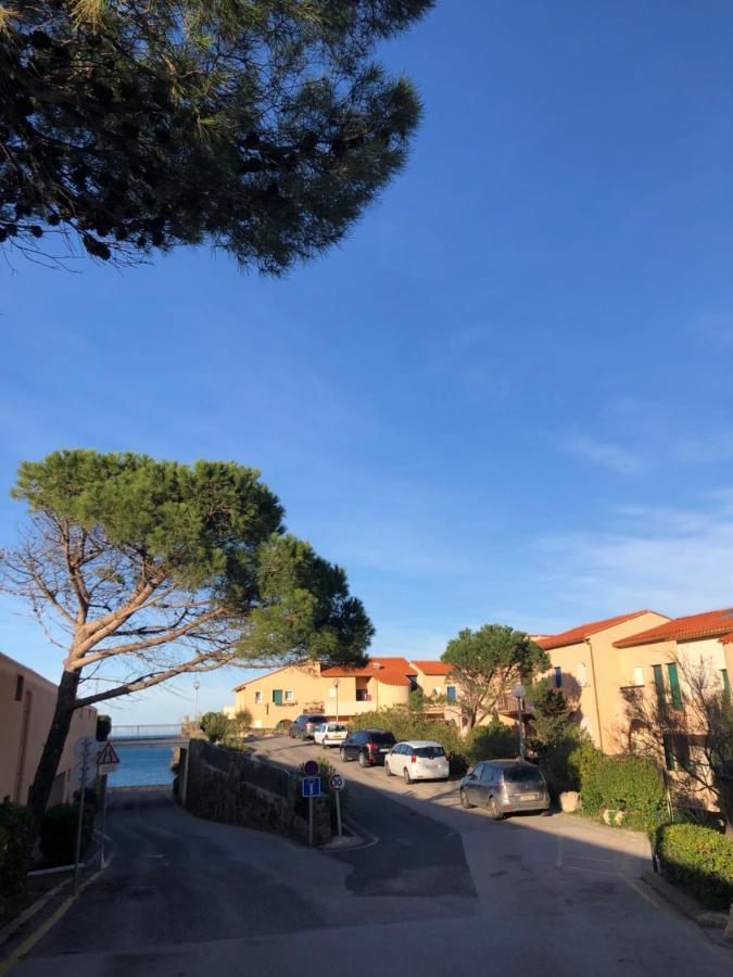 Appartement Vue Mer Les Pieds Dans L'Eau Collioure Exteriér fotografie